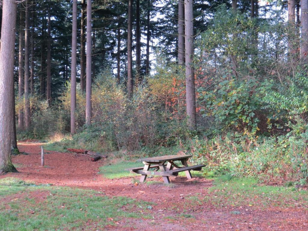 De Kasteelboerderij
